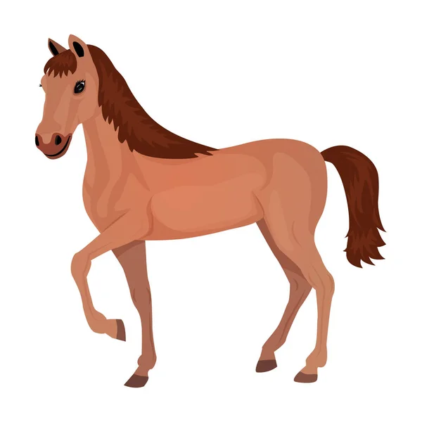 Lindo caballo de dibujos animados aislado sobre un fondo blanco. Ilustración vectorial . — Vector de stock