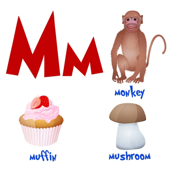 Vektor söta barn tecknade alfabetet. Brev M med apa, muffins och svamp. — Stock vektor