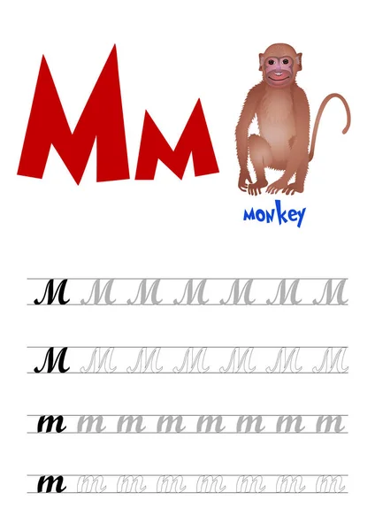 Design sida layout av det engelska alfabetet för att lära skriva övre och nedre bokstaven M med roliga tecknade Monkey. Platt stil. Vektorillustration — Stock vektor