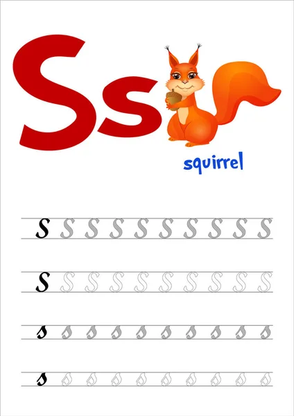 Ontwerp pagina lay-out van het Engels alfabet om te leren schrijven hoofd- en kleine letter S met grappige cartoon eekhoorn. Vlakke stijl. Vectorillustratie — Stockvector