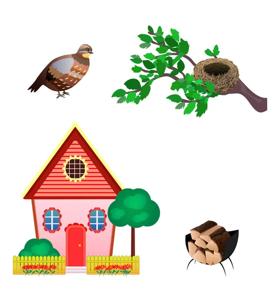 Set Ikonen von Wachtel, Nest, Haus, Holz isoliert auf weißem Hintergrund. flachen Stil. Vektorillustration — Stockvektor