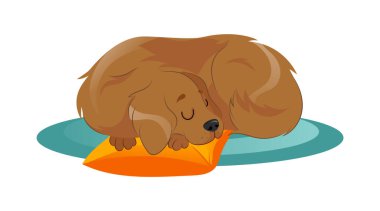 Hayvan Bakımı Konsepti, Barınak. Güzel köpek halıda uyuyor, başını yastığa koyuyor. Hayvan Evlat Edinme ve Destek. Yavru köpek evcil hayvan yatağında uyuyor. Çizgi film Düz Stili. Vektör İllüstrasyonu