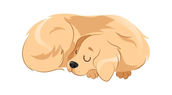 Concept de soins et d'abris pour animaux. Le joli chien dort en mettant la tête sur ses pattes. Soins aux animaux, adoption et soutien. Chien paresseux dort à la maison chez lui. Cartoon style plat. Illustration vectorielle — Image vectorielle