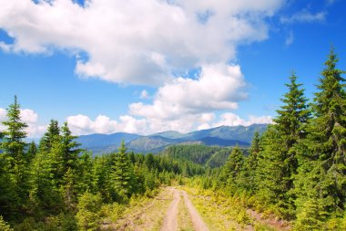 yol çam ağaçları ile dağlarda