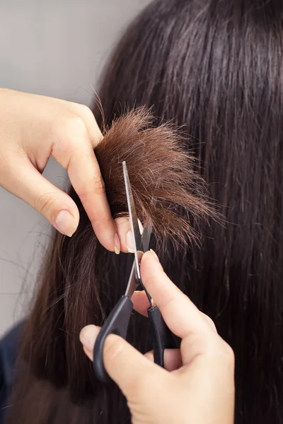 Hairdresser trimming hair with scissors — Stock Photo, Image