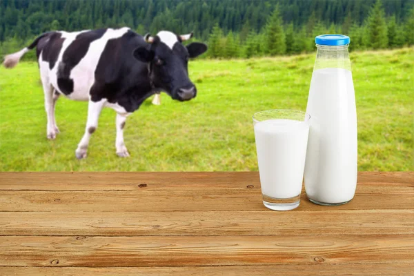 Leite na mesa de madeira com vaca no fundo — Fotografia de Stock