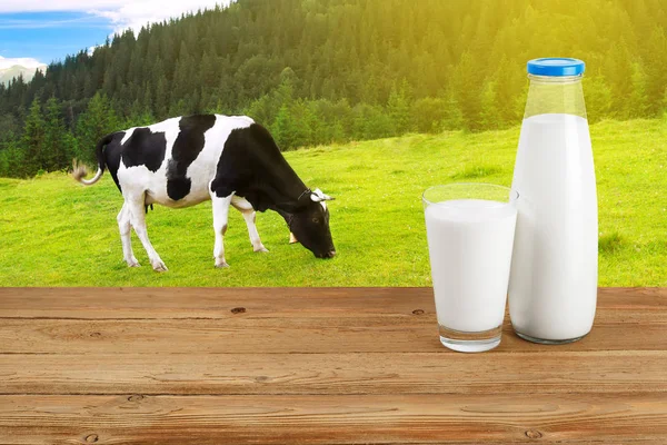 Milch auf dem Tisch mit Kuh im Hintergrund — Stockfoto