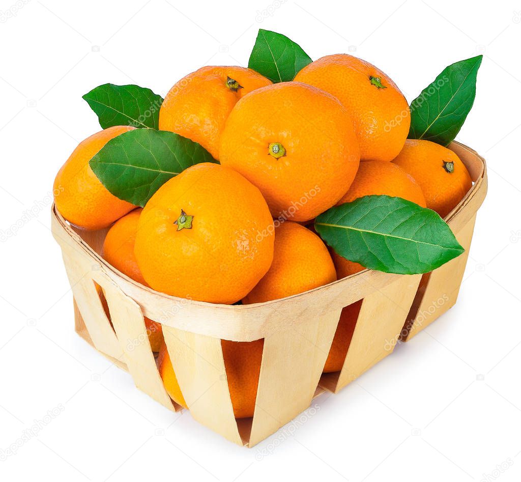 tangerines in basket isolated on white