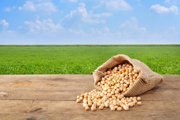 chickpeas grains with green field on the background