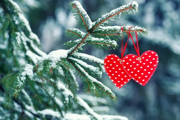 Kış ağacında kırmızı kalp — Stok fotoğraf