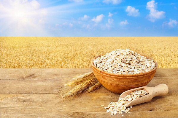 Овсяные хлопья в миске на фоне природы
