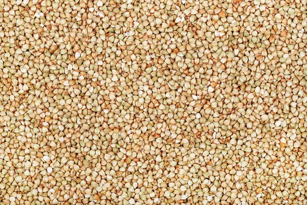 Green buckwheat background — Stock Photo, Image