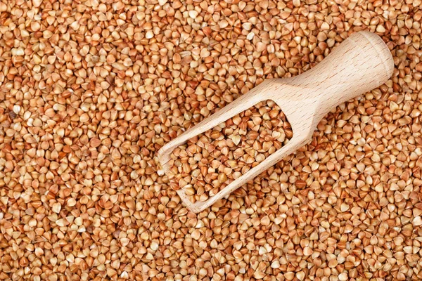 Scoop on brown buckwheat — Stock Photo, Image