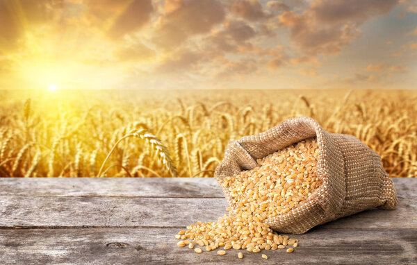 сырая болгарская пшеница
