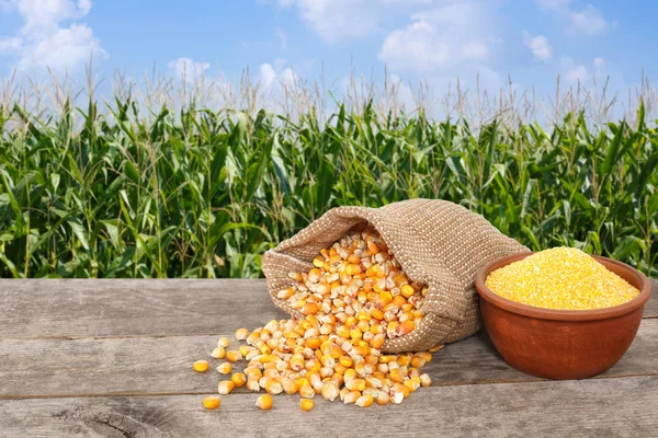 Ongekookt maïs zaden en maïsmeel — Stockfoto