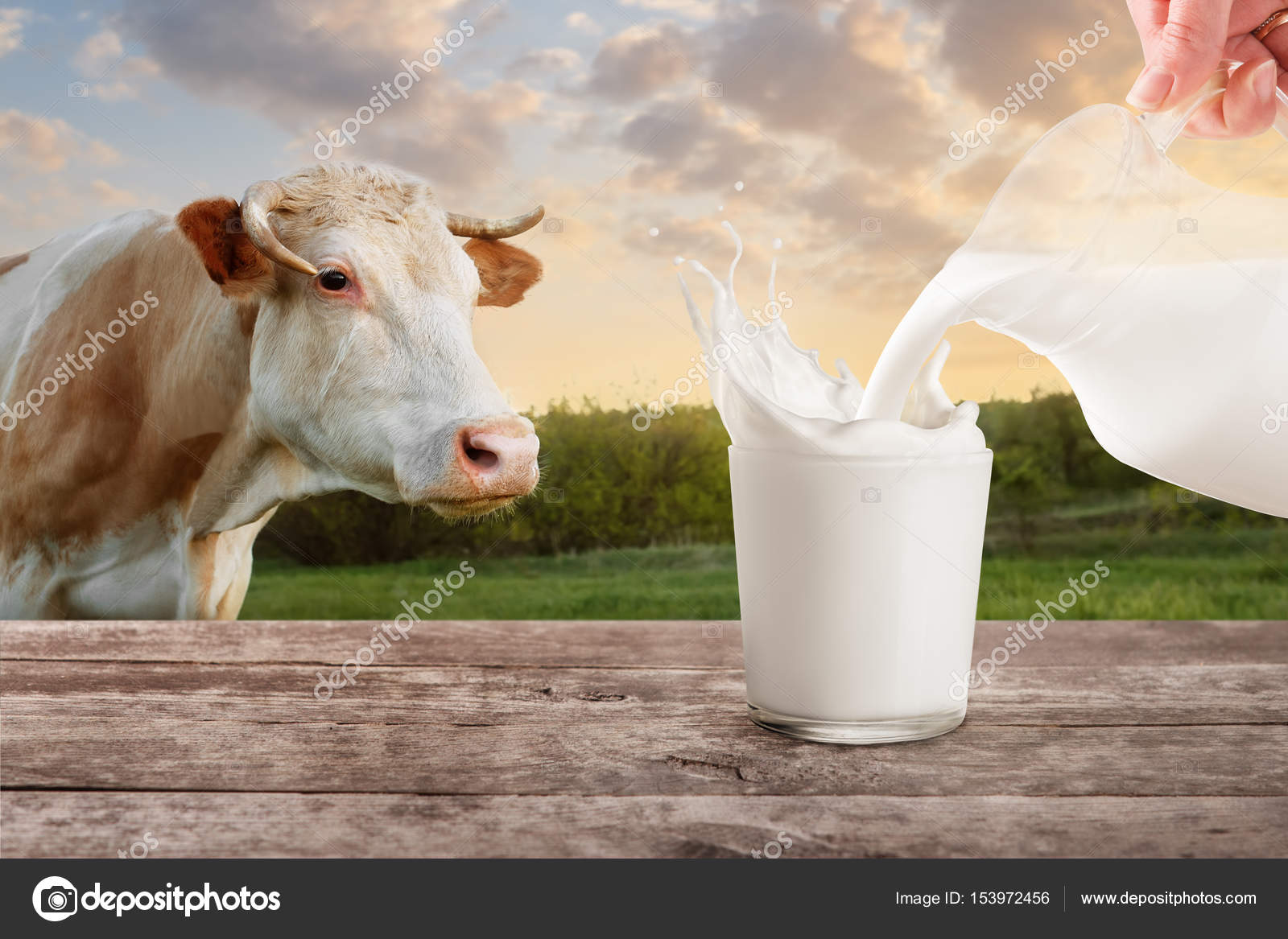 Коровье Молоко В Орле Купить