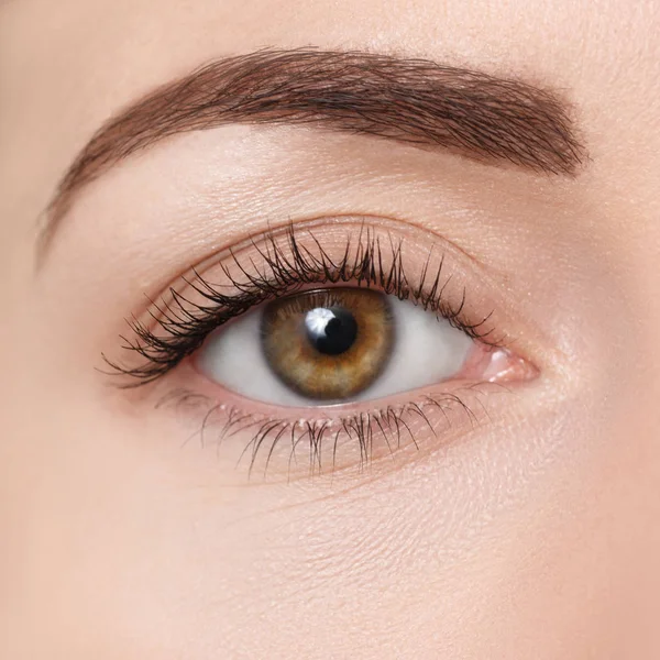 Closeup of brown eye — Stock Photo, Image