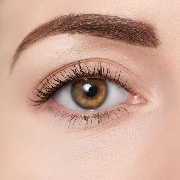 kahverengi göz closeup