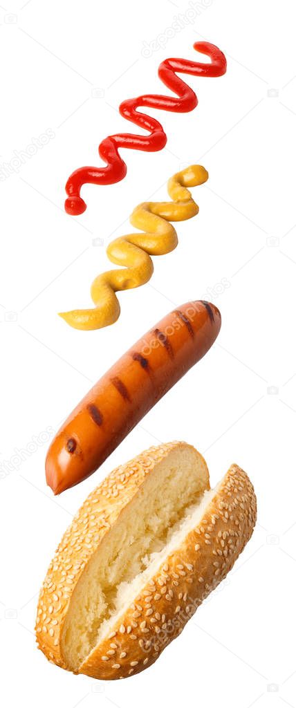 hot-dog with flying ingredients