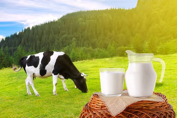 Milch in Krug und Glas — Stockfoto