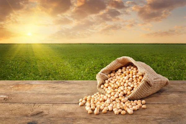 chickpeas grains and green field