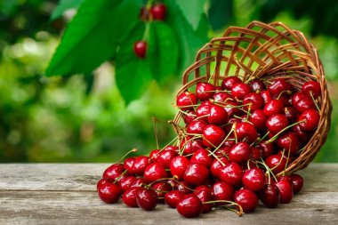 kiraz bahçesinde masada