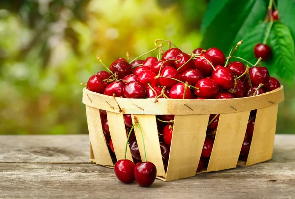 sepet meyve bahçesi içinde kiraz ile