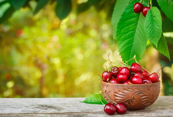 kiraz meyve bahçesi ile kase