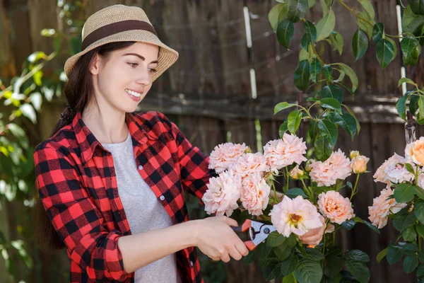 Gardener girl trimming flowers with secateurs — Stock Photo, Image