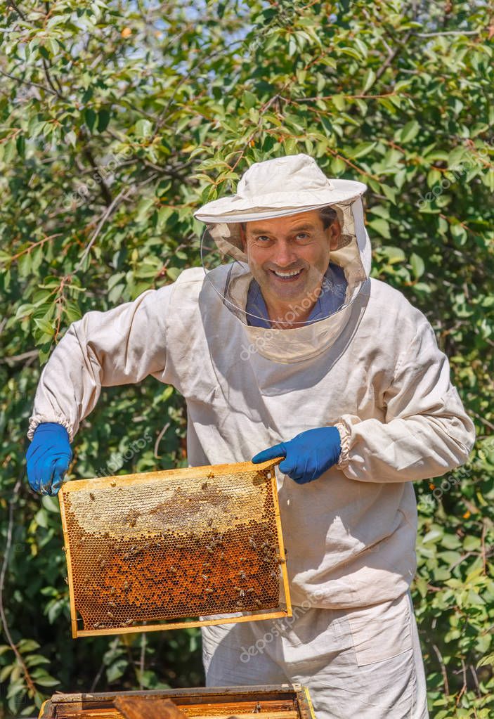 Beekeeper holding a honeycomb — Stock Photo © AlterPhoto #161209642