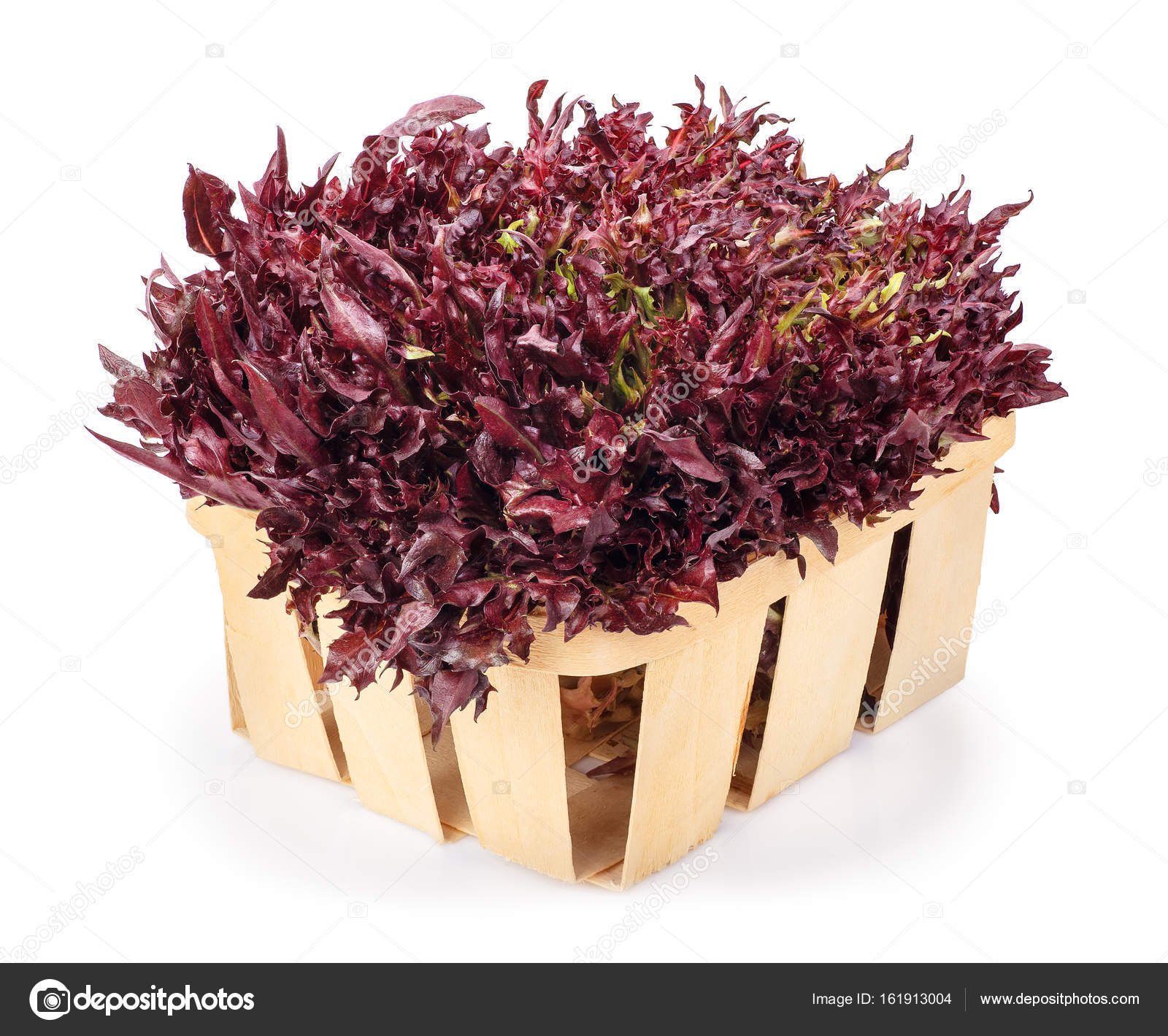 Purple Frisee Lettuce In Basket Stock Photo Image By C Alterphoto
