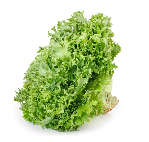 Elszigetelt fehér zöld saláta — Stock Fotó