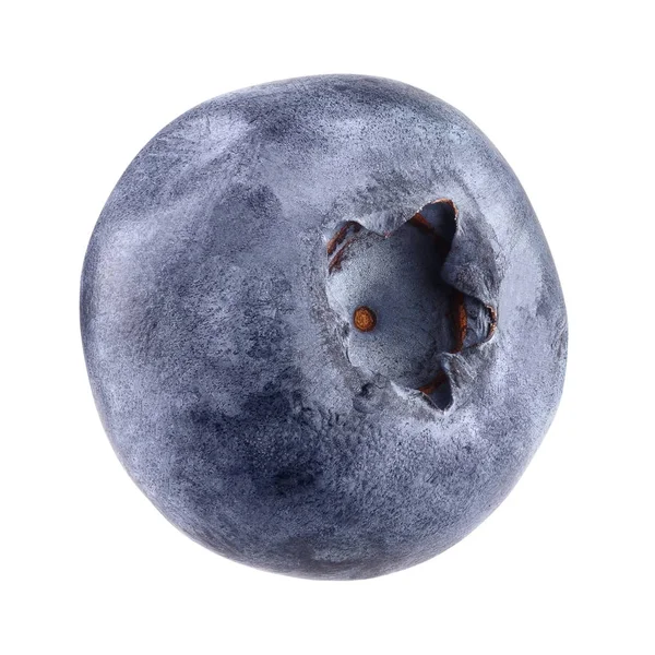 Blueberry isolated on white — Stock Photo, Image