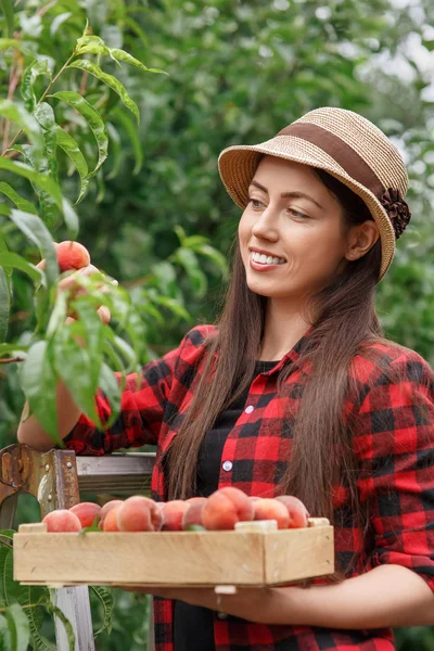 Giardiniere donna con pesche — Foto Stock