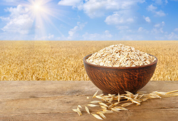 Овсяные хлопья в миске на фоне природы
