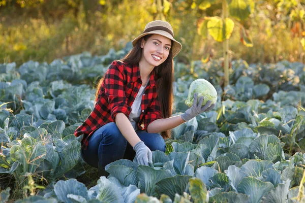 Lycklig kvinna trädgårdsmästare med kål — Stockfoto