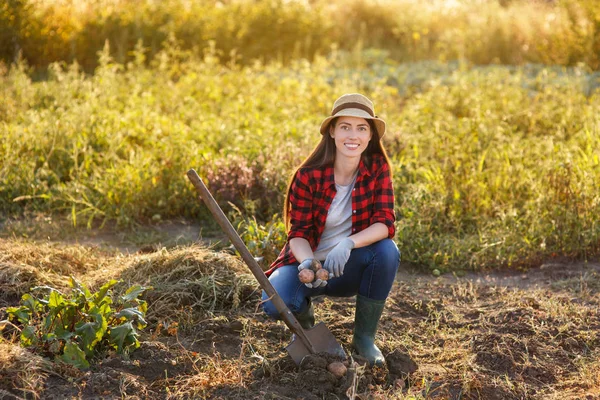 Jardineiro mulher com batatas — Fotografia de Stock