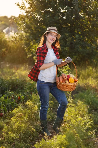 Donna con cesto di verdure — Foto Stock