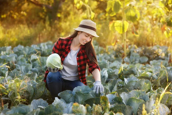 Felice donna giardiniere con cavolo — Foto Stock