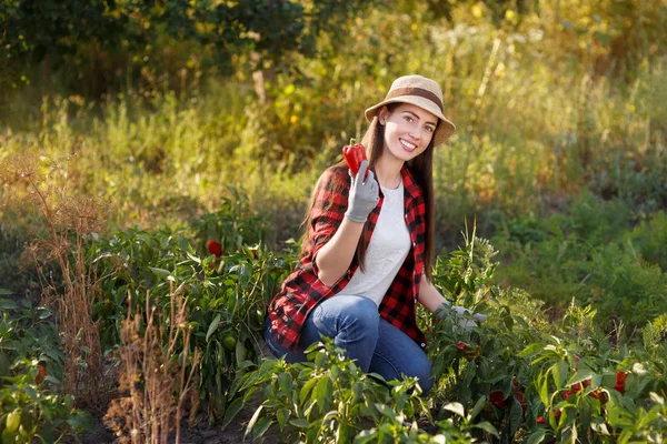 Donna felice giardiniere con peperone — Foto Stock