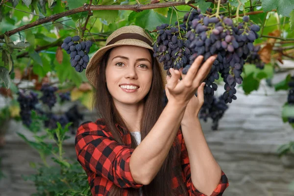 Giardiniere donna con uva — Foto Stock