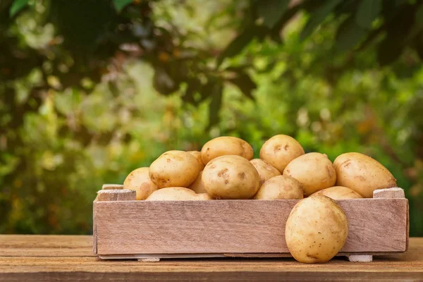 木箱のジャガイモ — ストック写真