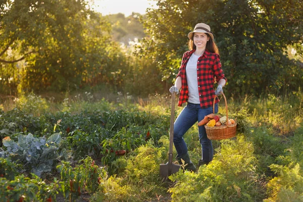 Jardinero con cesta de verduras —  Fotos de Stock