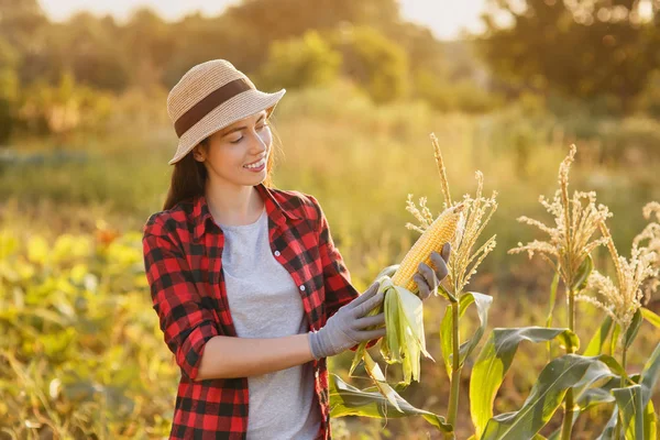 mutlu kadın bahçıvan mısır mısır koçanı ile