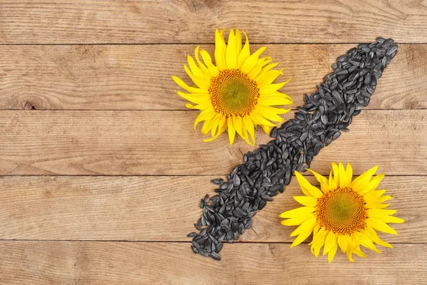 ayçiçeği tohumu ve taze ayçiçeği görünümü top