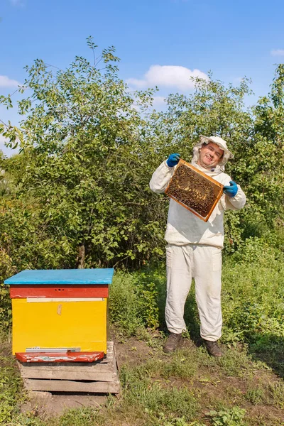 Včelaře s voštinovým vzorem ve včelařství — Stock fotografie