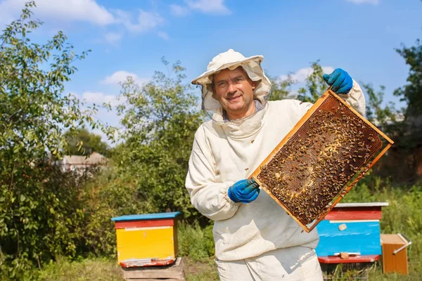 arıcı ile petek arı kovanı