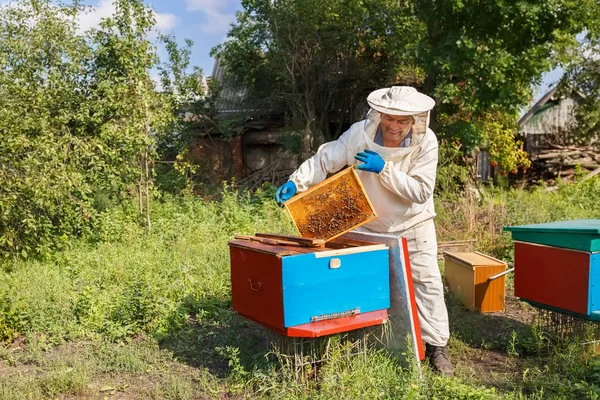 Včelaře s voštinovým vzorem ve včelařství — Stock fotografie