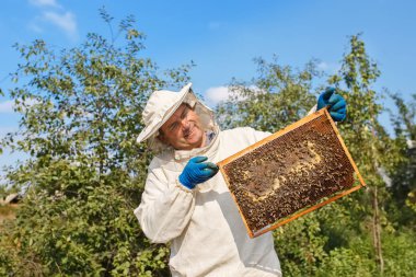 arıcı ile petek arı kovanı