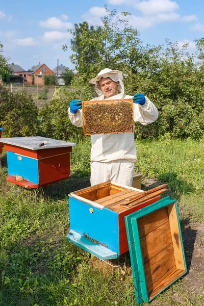 Včelaře s voštinovým vzorem ve včelařství — Stock fotografie